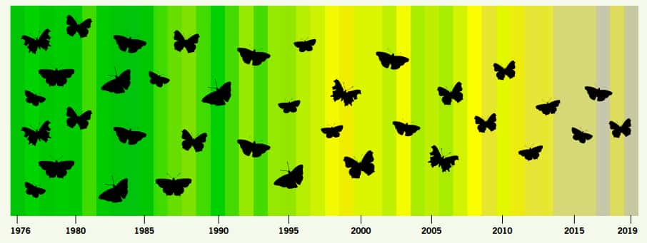 Les bandes de l'érosion de la biodiversité appliquées à la population de papillons en Angleterre, avec leur déclin de 1976 à 2019. © <em>Butterfly Conservation</em>