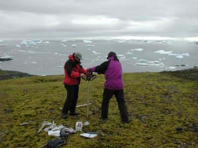 Des chercheurs ont récupéré des échantillons de mousse dans des couches du pergélisol antarctique congelées depuis plus de 1.500 ans. © P. Boelen
