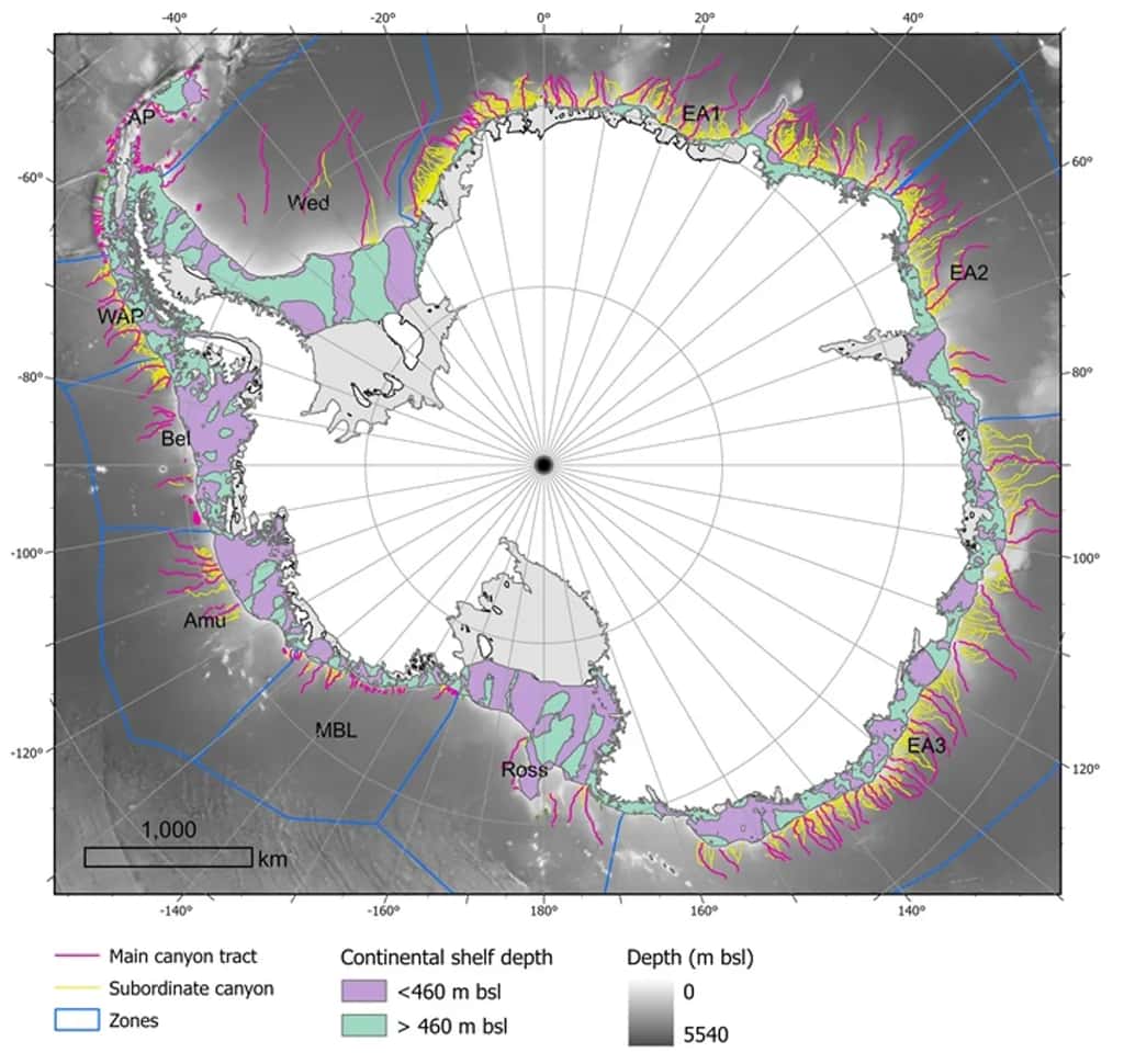 Carte issue de la nouvelle étude représentant les canyons sous-marins qui s’étendent depuis les côtes antarctiques. © R Arosio & D Amblas, Géologie marine, 2019