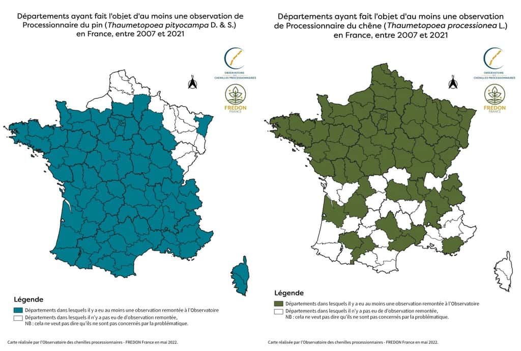 Carte des remontées d’observations des processionnaires du pin et du chêne en France métropolitaine entre 2007 et 2021. Sources : Inrae, DSF, ARS et Réseau Fredon (carte cliquable).