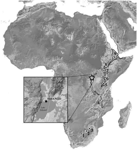 Localisation d’Ishango (étoile) et d’autres sites africains où des fossiles d’hominidés de la période de transition Plio-Pléistocène ont été trouvés (<em>Australopithecus africanus</em>, <em>A. garhi</em>, <em>A. sediba</em>, <em>Homo habilis</em>, <em>H. rudolfensis</em>, <em>Paranthropus aethiopicus</em>, <em>P. boisei</em>, <em>P. robustus</em>). Taung a été découvert en (1) (Afrique du Sud), Drimolen, Gladysvale, Gondolin, Kromdraai et Swartkrans en (2) (Afrique du Sud), Malapa en (3) (Afrique du Sud), Malema et Uraha en (4) (Malawi), Olduvai en (5) (Tanzanie), Chemeron en (6) (Kenya), Turkana et Koobi Fora en (7) (Kenya), Omo en (8) (Éthiopie) et Bouri et Hadar en (9) (Éthiopie). © Crèvecœur <em>et al.</em>, 2014, <em>Plos One</em>