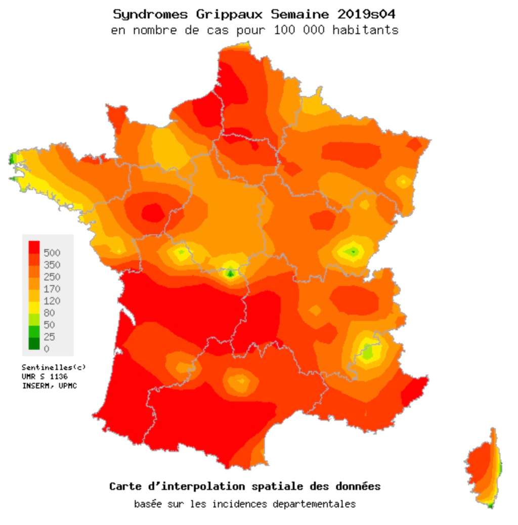 Quelles sont les régions les plus touchées de France ? Carte d’interpolation spatiale des taux d’incidence départementaux des syndromes grippaux (pour 100.000 habitants), semaine 04 de 2019. Cartes consultables sur www.sentiweb.fr. © Inserm