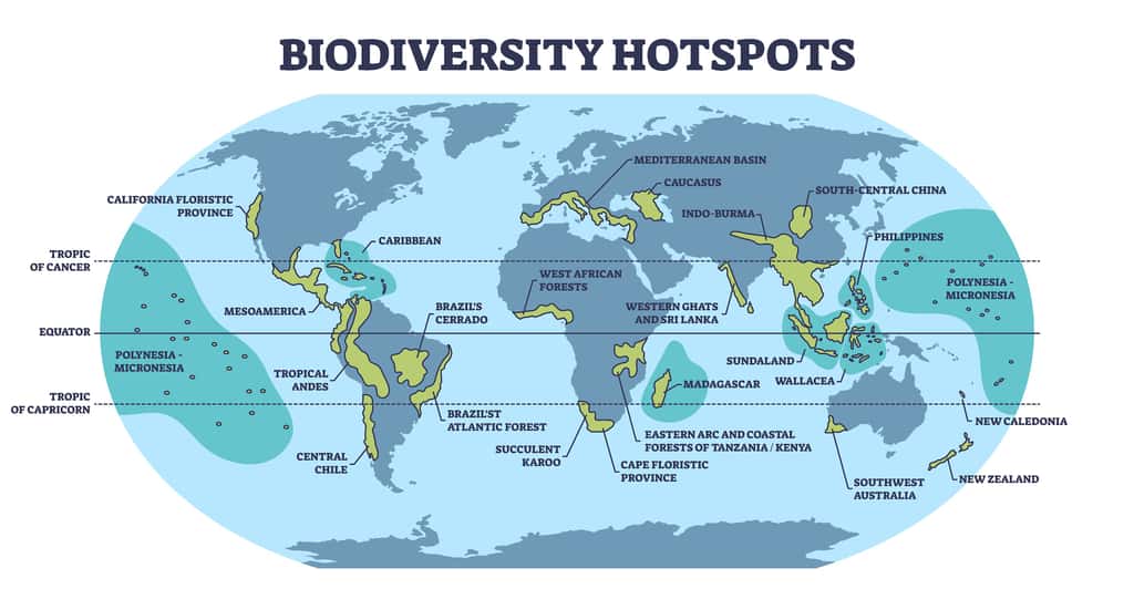 Carte des derniers « points chauds » (<em>hot spots</em>) de biodiversité sur Terre. © VectorMine, Adobe Stock