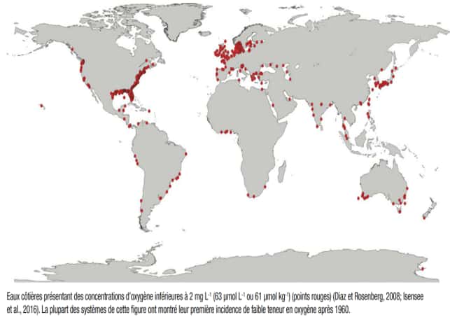 Les points rouges représentent des sites côtiers où la concentration en oxygène est particulièrement basse depuis 1960. © Rapport UICN 2019
