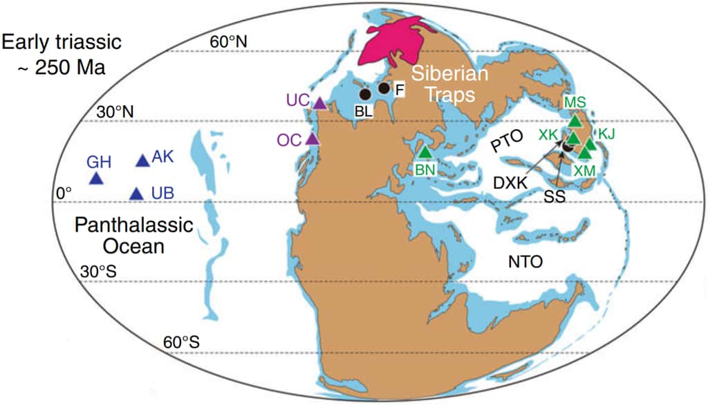 Carte du monde au commencement du Trias (250 millions d'années), peu après la crise permienne (252 millions d'années). Les trapps de Sibérie figurent en rose, au nord de la Pangée à l'époque. Les triangles bleus, mauves et verts représentent les dix sites échantillonnés pour cette étude. Les différentes couleurs indiquent qu'ils proviennent de milieux ou de lieux géographiques différents, le bleu étant utilisé par exemple pour les sédiments issus des profondeurs abyssales de l'océan global Panthalassa entourant le supercontinent. Les points noirs marquent des sites analysés dans des recherches antérieures. Le pic de mercure aux environs de la limite Permien-Trias est observé pour tous ces sites. © Jun Shen <em>et al.</em>, <em>Nature Communications</em>, 2019
