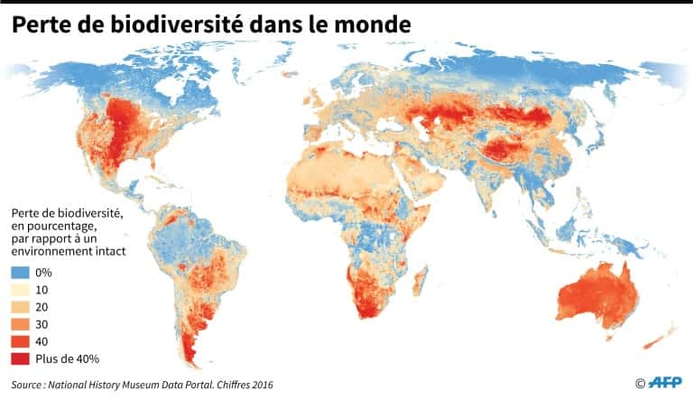 Perte de biodiversité dans le monde. © Simon Malfatto, AFP