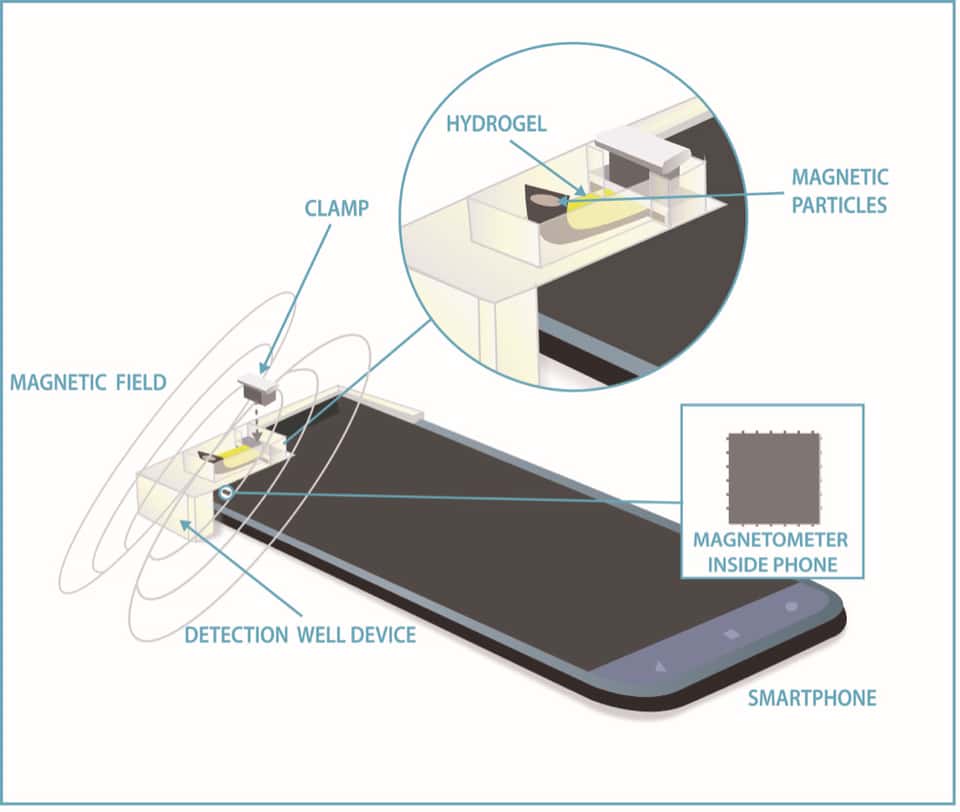 Illustration du système de test qui utilise une simple bandelette d’hydrogel placé sur le magnétomètre d’un smartphone. © K. Dill, NIST