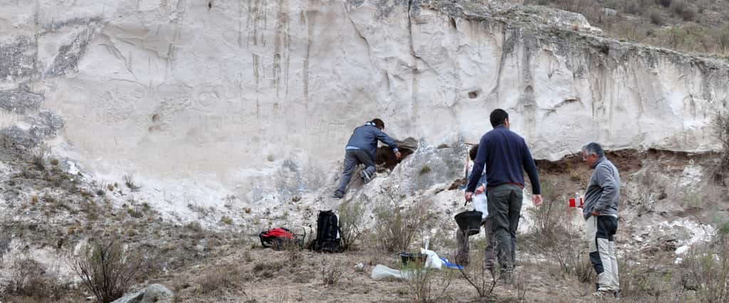 Un chercheur prélève un échantillon de roche volcanique sur un des affleurements rocheux étudiés. © J.L. Fernández Turiel <em>et al.</em>, <em>Estudios Geológicos</em>, 2019/<em>Institute of Earth Sciences Jaume Almera </em>(ICTJA)