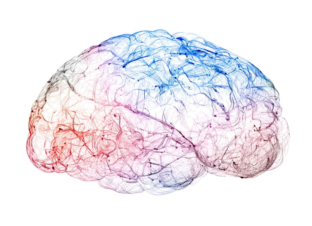 Un déficit de dopamine dans le cerveau est attribué à la maladie de Parkinson. © Naeblys, Adobe Stock