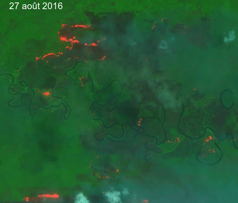 Sentinel-2 repère très facilement les incendies dans les forêts, comme par exemple ici dans des plantations d’acacias en Indonésie. © Simon Gascoin, <em>Copernicus Sentinel data 2017</em>
