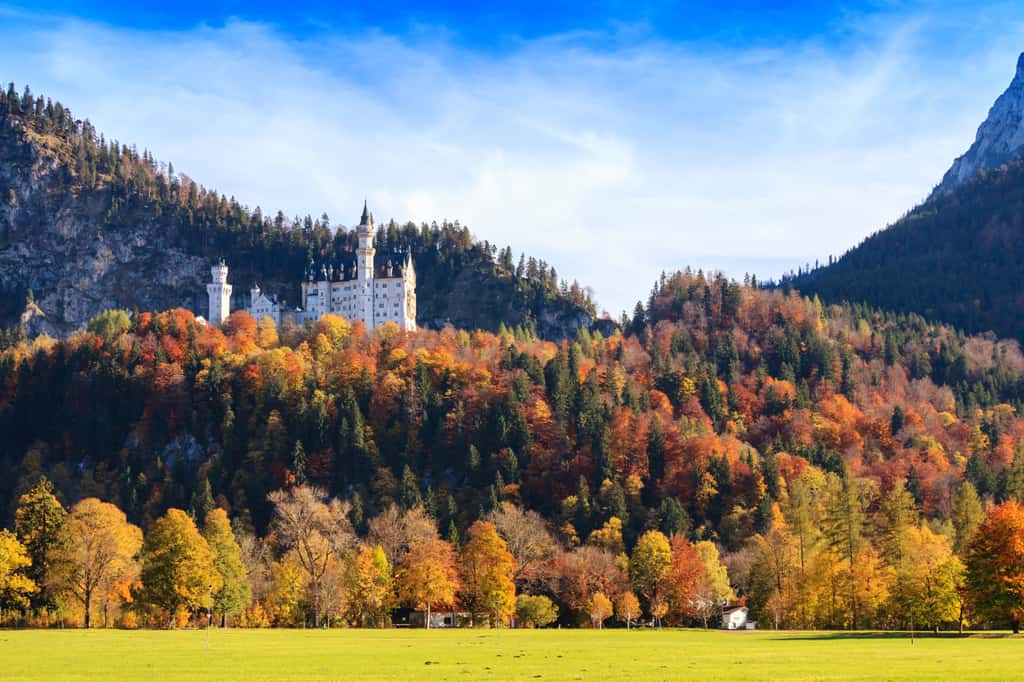 Le château de Neuschwanstein, surplombant la vallée du haut de son rocher. ©Victoria Schaad, Adobe Stock