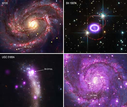  Quelques-unes des 31 supernovae étudiées. © Nasa, CXC, Univ. of Illinois, I. Brunton et al.