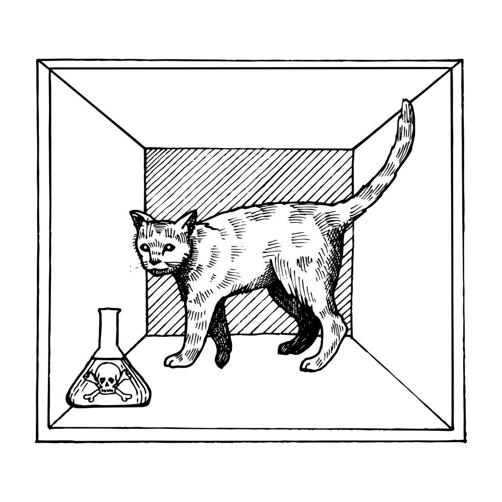 Cette expérience de pensée illustre le côté probabiliste de la mécanique quantique : on suppose un chat enfermé dans une boîte avec un dispositif qui tue l'animal dès qu'il détecte la désintégration d'un atome d'un corps radioactif. Or, les désintégrations suivent la demi-vie, qui indiquent le temps pour que la moitié des atomes se soient désintégrés. Ainsi, la mort — ou non — du chat relève de probabilités. La mécanique quantique indique alors que tant que l'observation n'est pas faite, l'atome est dans une superposition d'états : à la fois désintégré et intact. Donc le chat est à la fois vivant et mort. © Alexander Pokusay, Adobe Stock