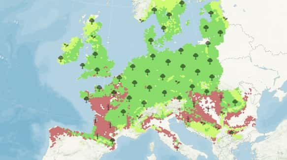 L'évolution du chêne d'ici 2095 en cas de réchauffement fort. © Nos forêts demain