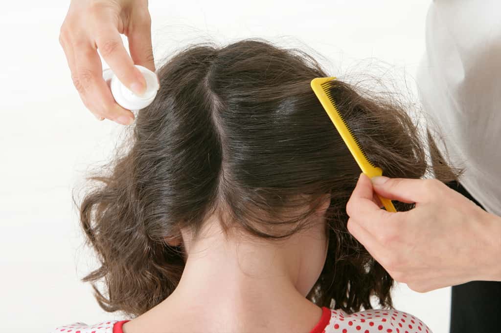  Le traitement classique des poux de tête commence par l'utilisation de shampoings et de lotions spécifiques, puis par le peignage minutieux des cheveux pour retirer les lentes. © JPC-PROD, Adobe Stock
