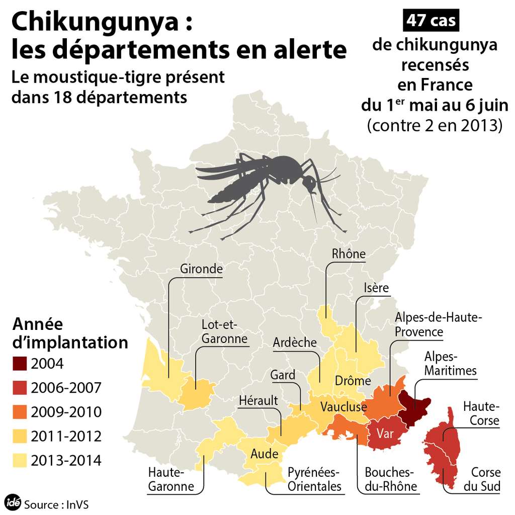 En 2014, le moustique-tigre était présent dans différents départements français et pouvait transmettre le chikungunya en France métropolitaine. © idé