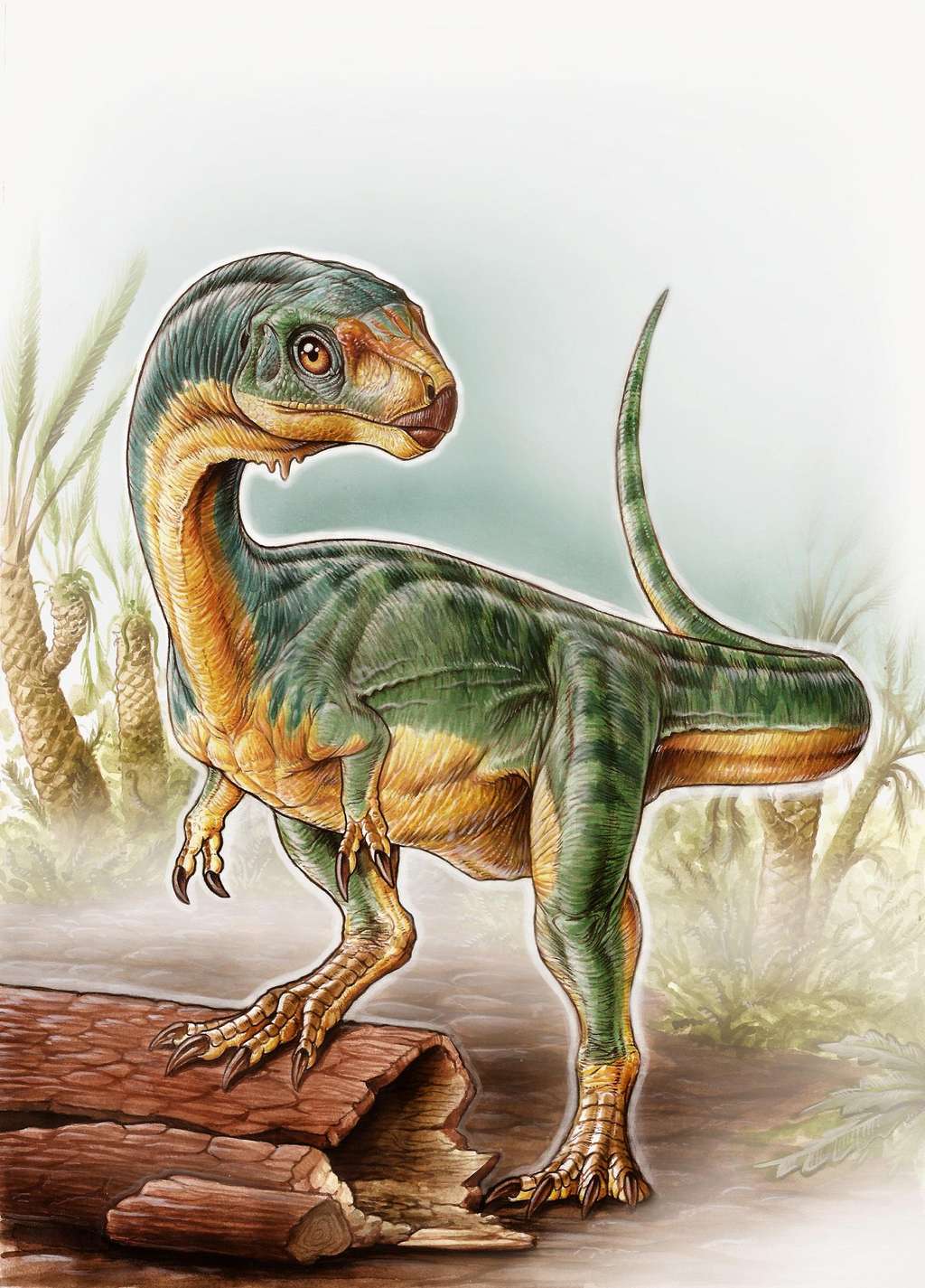 Une reconstitution de l'aspect présumé de <em>Chilesaurus diegosuarezi</em>, qui montre clairement des mélanges de caractéristiques faisant penser à un T-Rex mais aussi qu'il était herbivore. © <em>University of Birmingham</em>