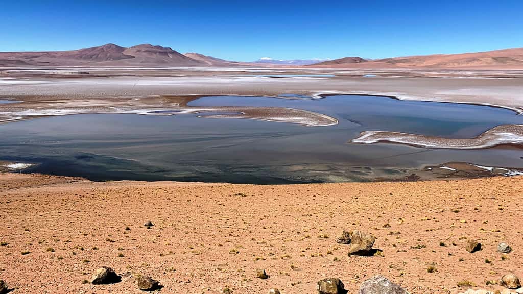 Rempli de lacs saumâtres, le plateau de Quisquiro dans l'Altiplano d'Amérique du Sud, au Chili, représente le type de paysage que les scientifiques pensent y avoir existé il y a des milliards d'années sur Mars, dans le cratère Gale, que le rover Curiosity de la Nasa explore. © Maksym Bocharov
