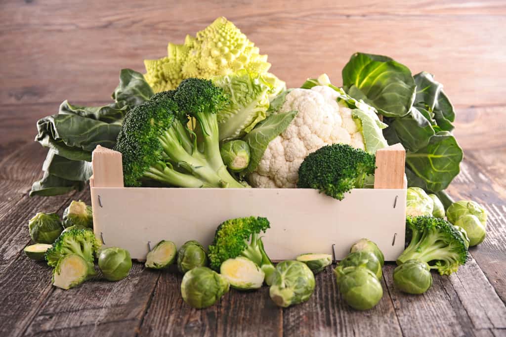  Les scientifiques se sont spécifiquement intéressés à des composés alimentaires naturellement présents dans les légumes crucifères tels que le brocoli. © M.studio, Adobe Stock