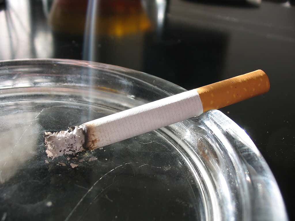 Le protocole avec la psilocybine semble plus efficace pour arrêter de fumer que les autres thérapies existantes. © Tomasz Sienicki, Wikimedia Commons, cc by sa 3.0