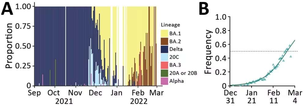 Circulation des lignées de SARS-CoV-2 en France de septembre de septembre 2021 à mars 2022 (A) et fréquence des infections causées par la lignée BA.2 (B). © Sofonea et coll. (2022, <em>Emerging Infectious Diseases</em>)