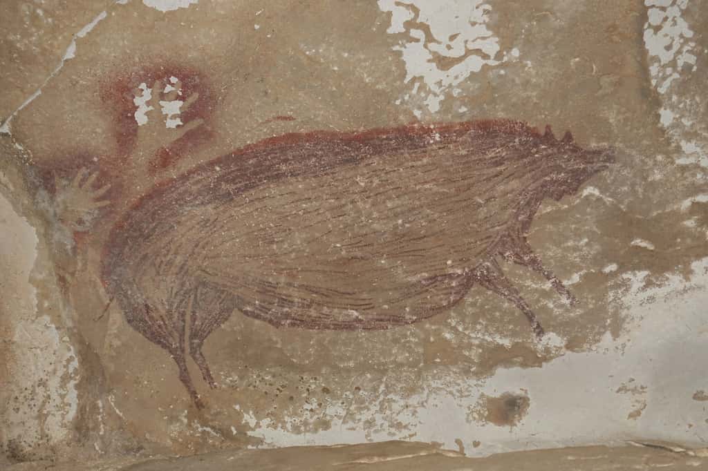 Ce dessin qui représente un sanglier de Célèbes date d'au moins 45.500 ans. © Maxime Aubert