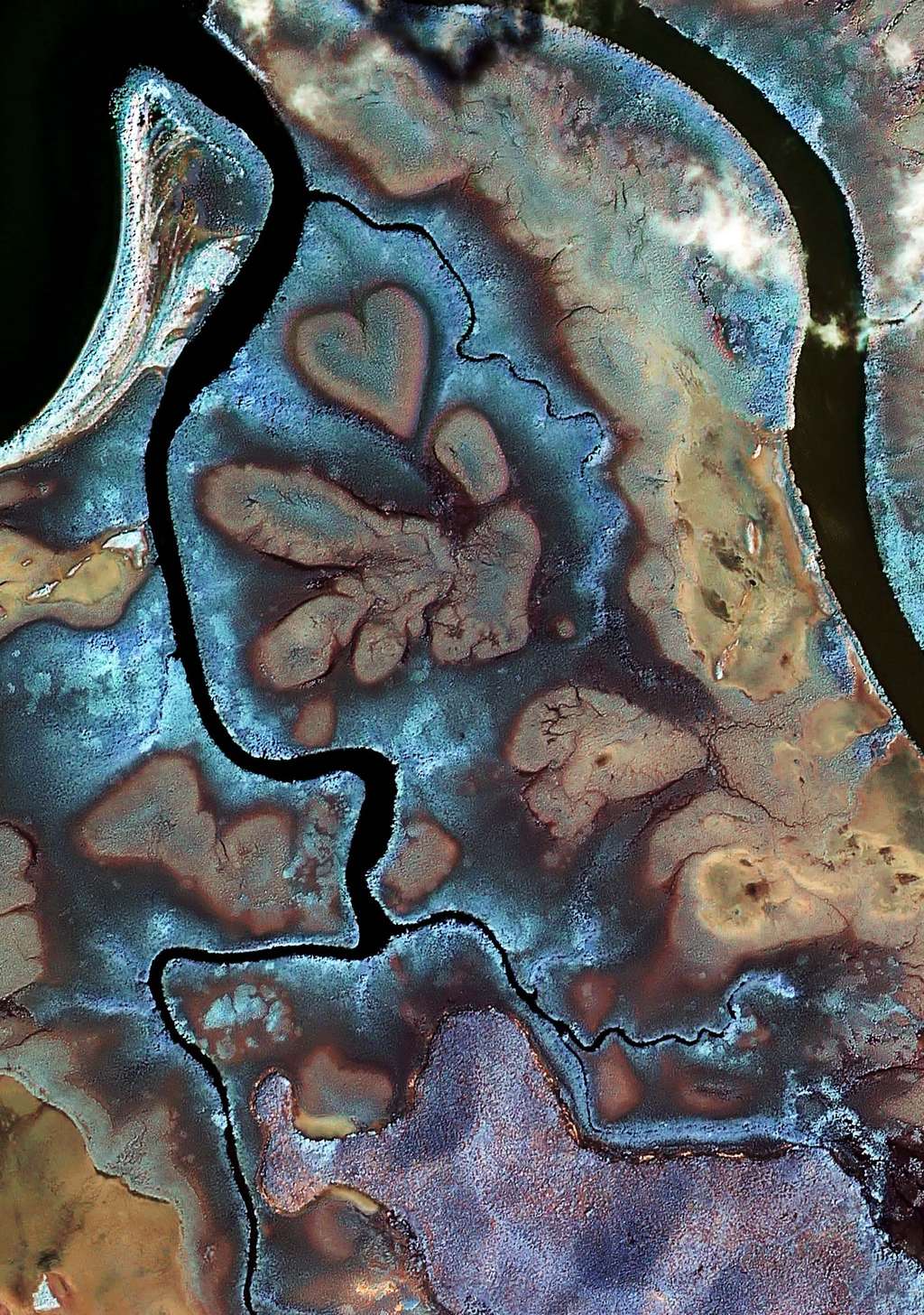 La célèbre formation végétale du Cœur de Voh se détache de la mangrove sur l'île de Grande Terre, en Nouvelle-Calédonie, dans cette image en fausses couleurs prise par le satellite Kompsat-2. C'est une tanne, c'est-à-dire une zone d'un marais littoral qui reste généralement émergée. © KARI/ESA