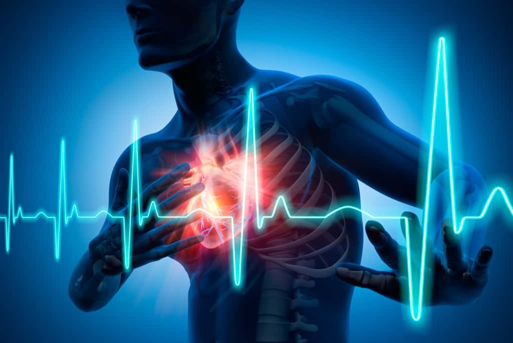 Le patch permettrait une analyse de la fonction cardiaque en continu. © peterschreiber.media, Adobe Stock