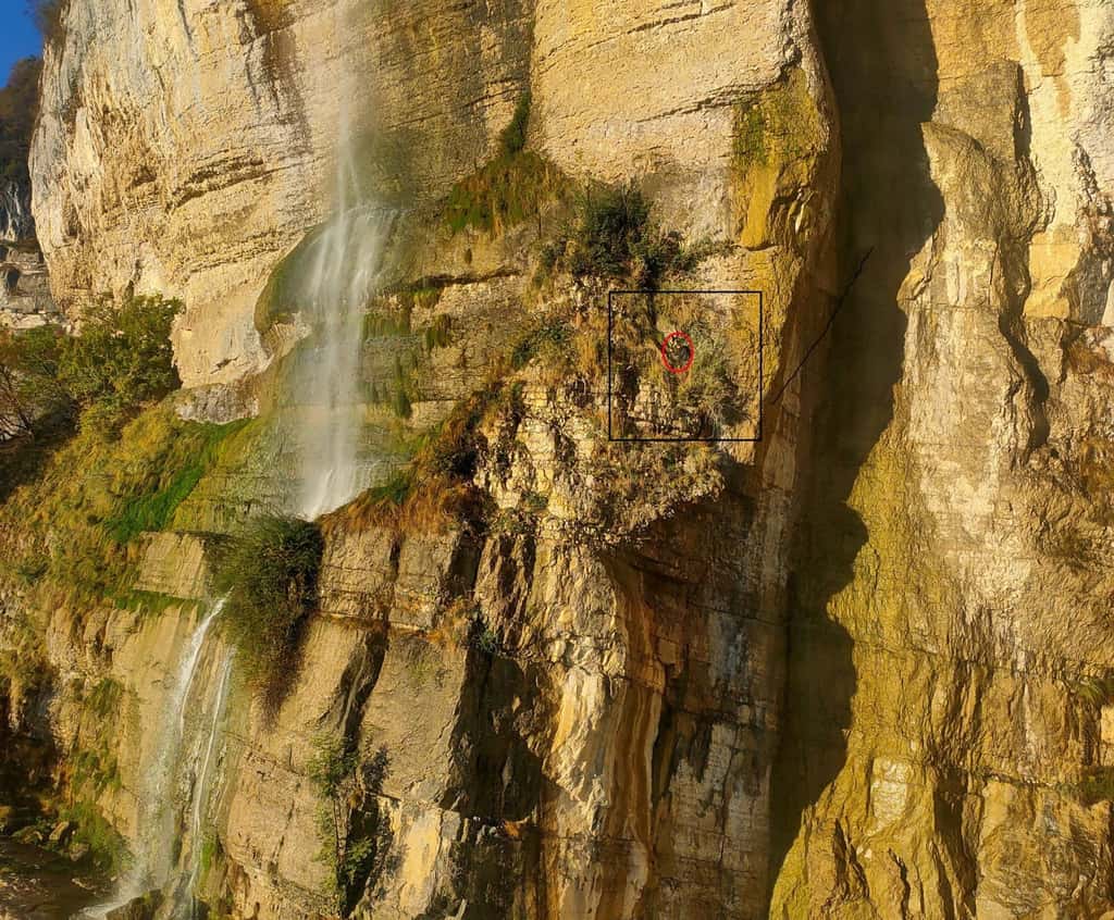 Photo du jeune homme (entouré en rouge) accroché à la falaise, prise depuis l’hélicoptère. © CRS Alpes