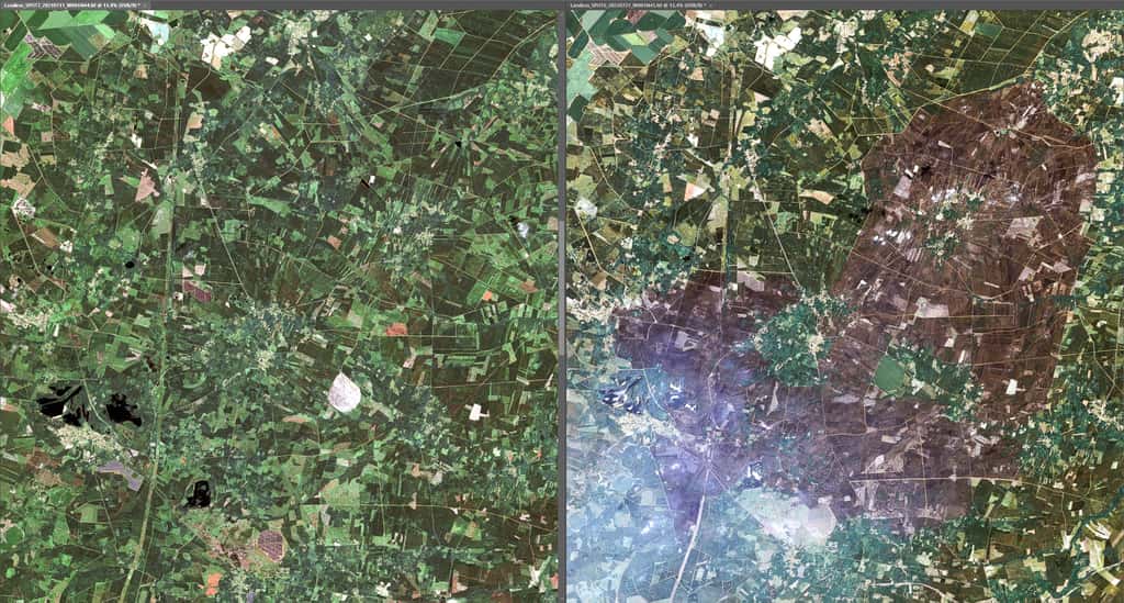 Deux images prises par le satellite Spot 6 avant-après de Landiras. Celle de gauche a été acquise le 11 juillet 2021 et celle de droite, un an plus tard le 21 juillet 2022. © Airbus DS 2022