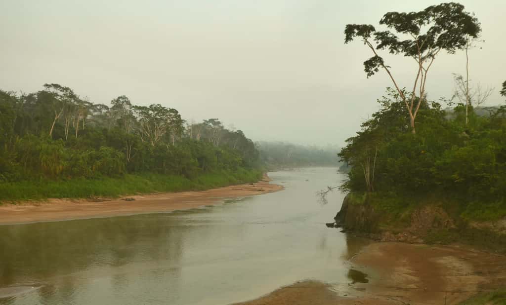 Les conditions sont particulièrement humides aux bords du <em>Rio Juruá</em>, dans l'état de l'<em>Acre</em> (Amazonie brésilienne). Vue depuis l’emplacement du bivouac pour la nuit. © L. Marivaux