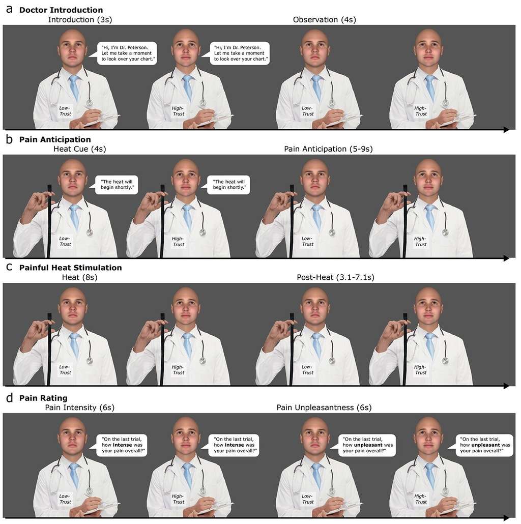 Conception de la tâche d'IRMf d'interaction médicale virtuelle. © Anderson, Gianola <em>and al. Cerebral Cortex</em>