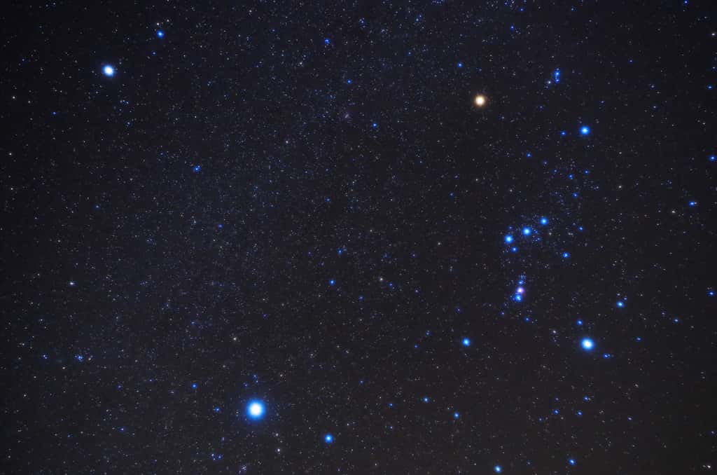 À droite, la constellation d’Orion que l’on reconnaît tout de suite aux trois étoiles de sa ceinture et les brillantes Bételgeuse (épaule) et Rigel (pied). En bas à gauche, Sirius, l'étoile la plus brillante du Grand Chien. En haut à gauche, Procyon (Petit Chien) © carrottomato, fotolia