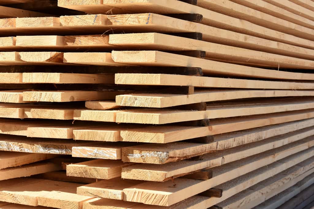 Le choix de l'essence de bois est primordial pour la construction d'une cabane. © st_fox, Adobe Stock 