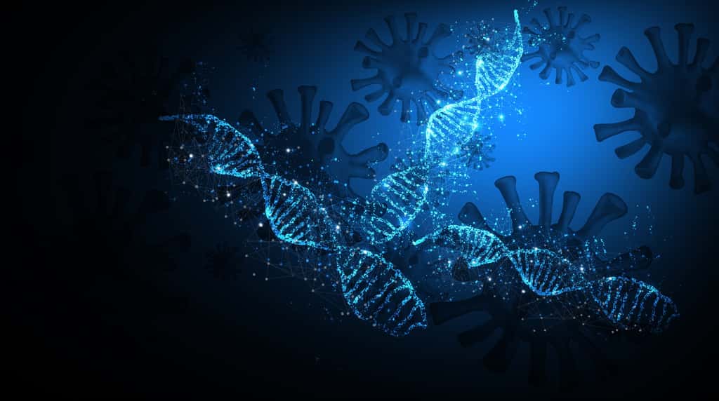 Les interactions avec les pathogènes forcent le génome à évoluer. © sasun Bughdaryan, Adobe Stock