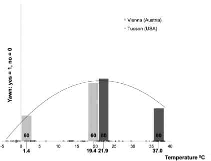 Fréquence du bâillement (<em>yawn</em>) en fonction de la température extérieure. Andrew Gallup a pu obtenir cette courbe en combinant deux études. © J. Mossen <em>et al.</em>, <em>Physiology &amp; Behavior</em>