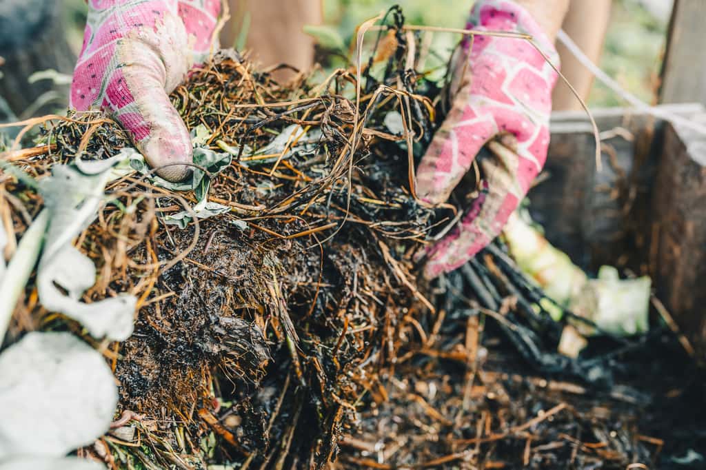 Le compost se décompose grâce à l'oxygène, l'humidité, les micro-organismes, lombrics et petits insectes. ©larisikstefania, Adobe Stock