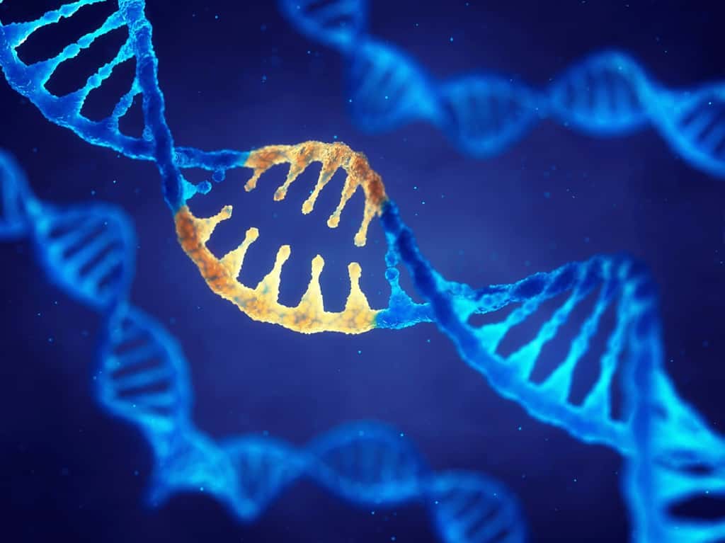 CRISPR désigne un ensemble de molécules qui permettent de modifier l'ADN de plantes et d'animaux avec une grande précision. © nobeastsofierce, Fotolia