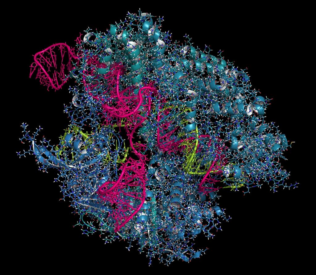 La protéine Cas9 est guidée par des ARN qui reconnaissent le site à couper dans le génome. © molekuul.be, Fotolia
