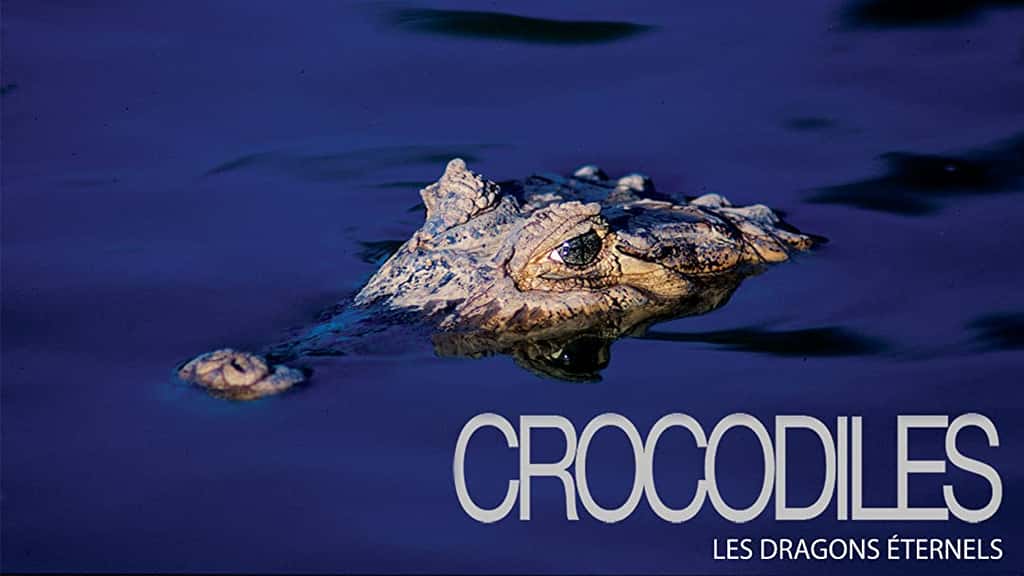 Crocodiles, les dragons éternels © Amazon