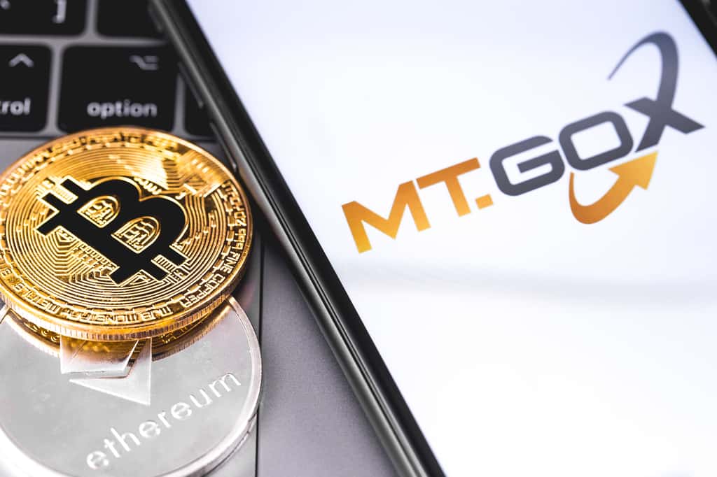 Le logo de Mt. Gox sur un smartphone. Jusqu'en 2014, Mt. Gox a été le 1<sup>er</sup> exchange (place de marché) de bitcoin au monde.© AdobeStock