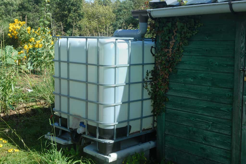 Pour quelles raisons les ventes de récupérateurs d’eau de pluie sont-elles en hausse constante ? La question mérite de s'y intéresser. © Richard Villalon, Adobe Stock