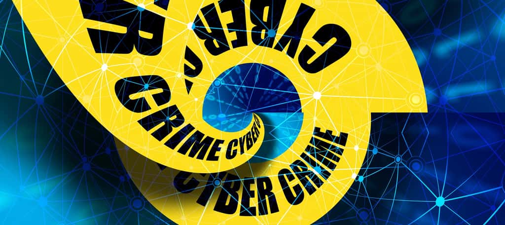 Le FBI a infiltré un réseau de ransomwares et vient de saisir leurs serveurs. © geralt, Pixabay