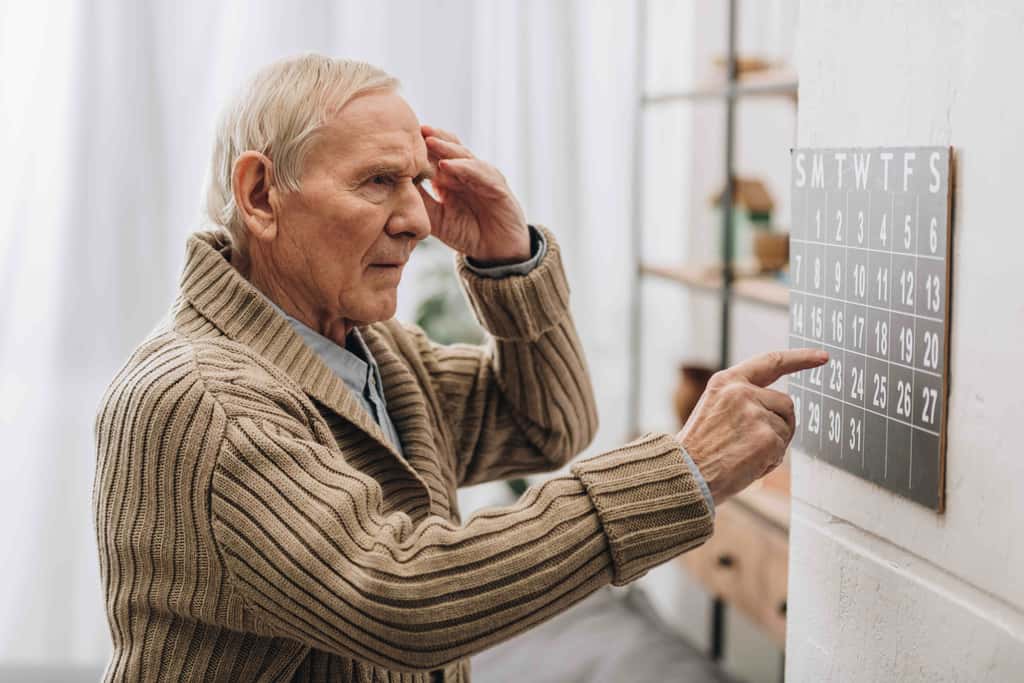 L'âge est le principal facteur de risque des démences. © Lightfields Studio, Adobe Stock