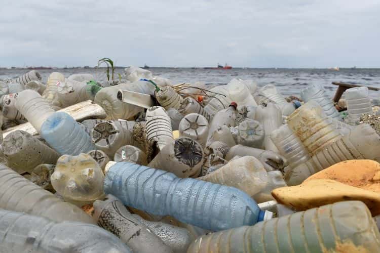 La plupart des matières plastique ne sont pas vraiment biodégradables. © Issouf Sanogo, AFP