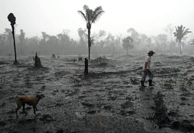Le fermier brésilien Helio Lombardo Do Santos dans un secteur brûlé de la forêt amazonienne près de Porto Velho (nord-ouest du Brésil), le 26 août 2019. © Carl de Souza, AFP, Archives 