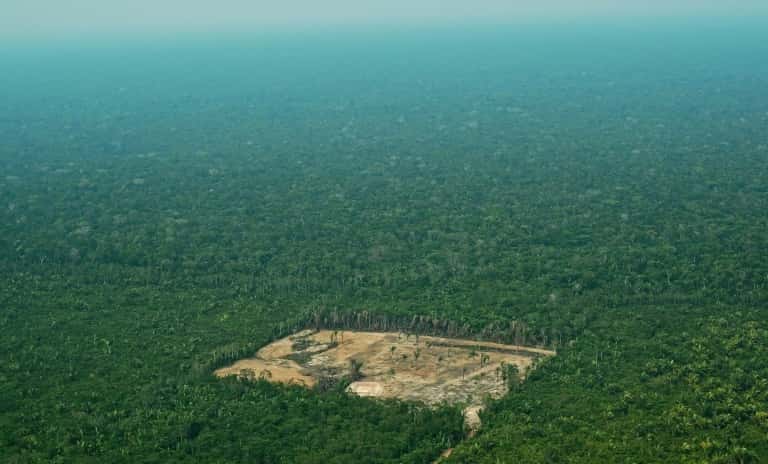 Déforestation et Covid-19 avancent de façon alarmante. L'État d'Amazonas, dont Manaus est la capitale, dénombre depuis le début du mois de mai plus de 500 morts dus au coronavirus, dont de nombreux membres de peuples autochtones, plus vulnérables aux maladies respiratoires. © Carl de Souza, AFP, Archives