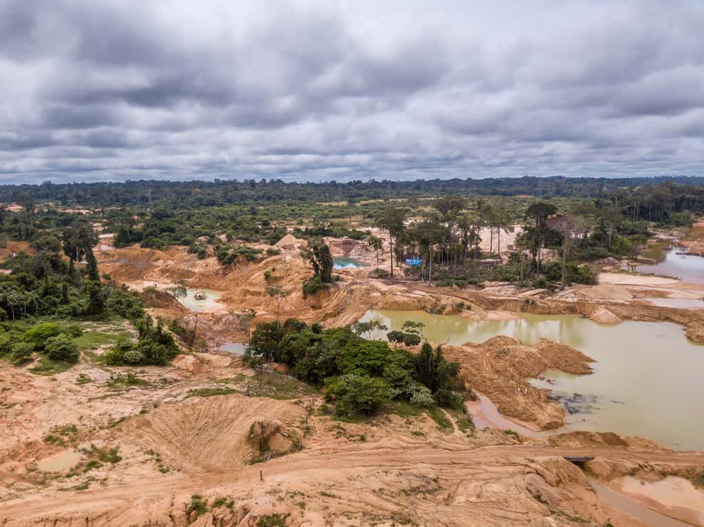 La déforestation en Amazonie brésilienne a plus que doublé entre janvier 2019 et janvier 2020. © Imago Photo, Adobe Stock