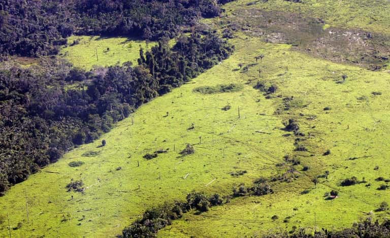 Au Brésil, 7.900 km2 de forêt ont été détruits en un an, soit l'équivalent d'un million de terrains de foot. © Anatonio Scorza - AFP/Archives