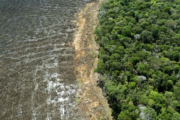 Vue aérienne d'une zone de déforestation de la forêt amazonienne, le 7 août 2020 près de Sinop, dans l'État du Mato Grosso, au Brésil. © Florian Plaucheur, AFP/Archives